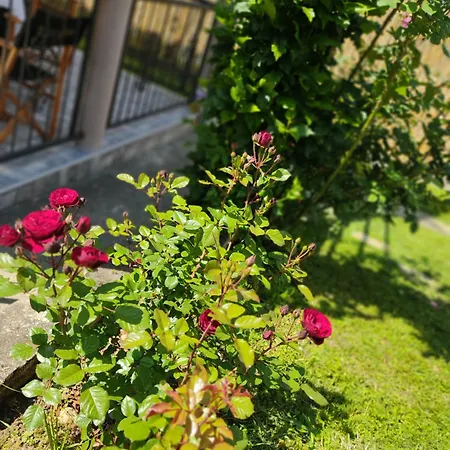 Kuca Za Odmor Milica Nyaraló *