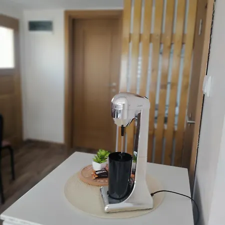 Kuca Za Odmor Milica Nyaraló Vrnjačka Banja